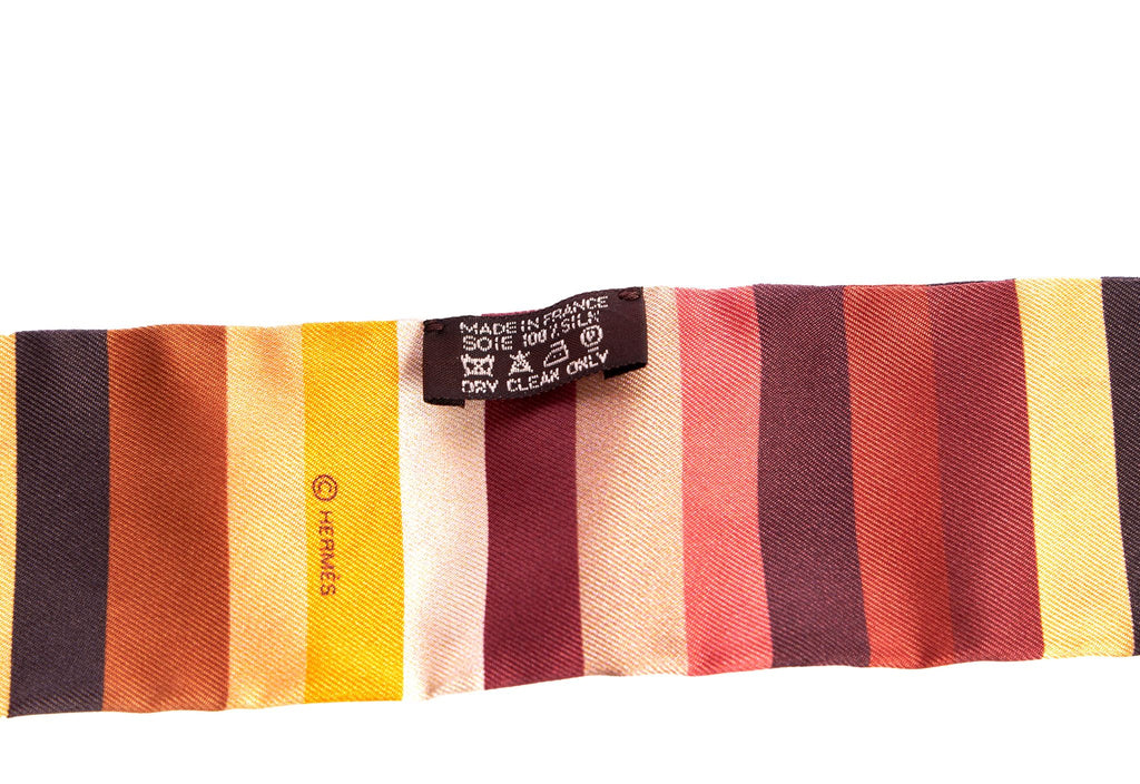 Hermès Syncronized Swimmer Silk Twilly