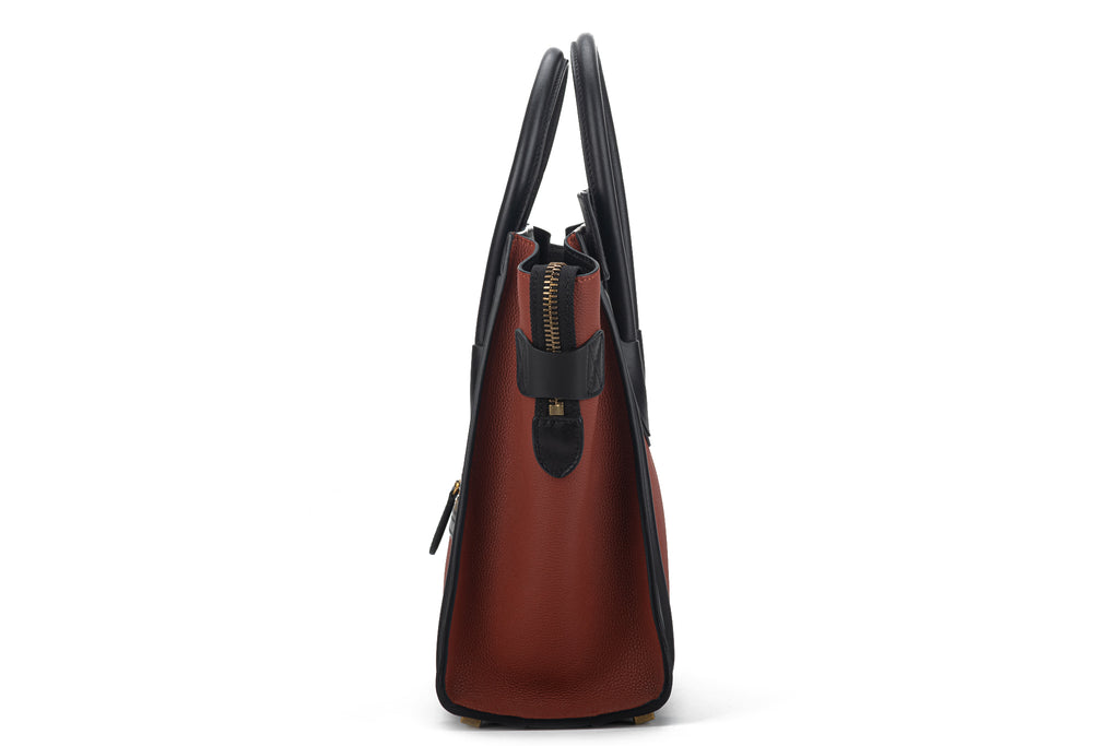 Celine New Bicolor Micro Luggage Bag