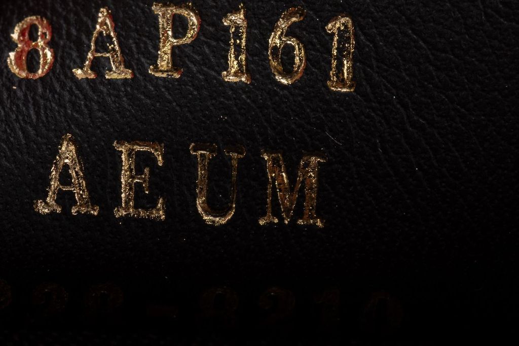 Fendi Card Case Powder Pink Gold