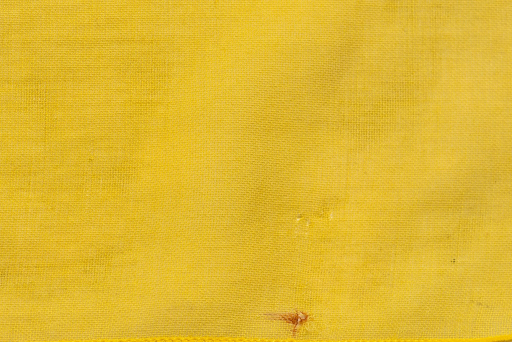 Hermès Yellow Blue Fish Cotton Sarong