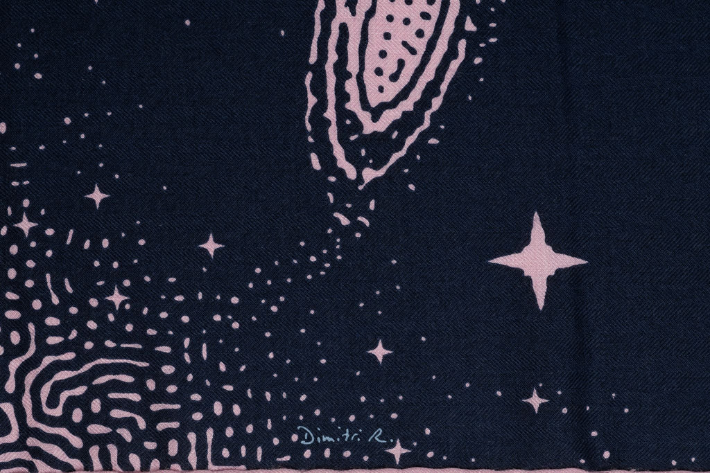 Hermès âœClaire De Luneâ� Cashmere Shawl