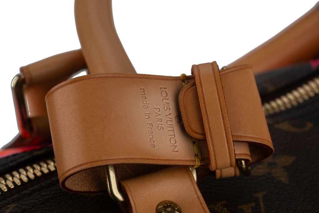 Vuitton Monogram Sprouse Keepall 50