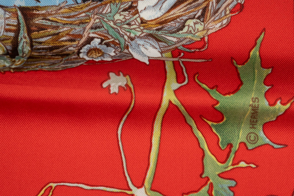 Hermès Faune et Flora du Texas Scarf