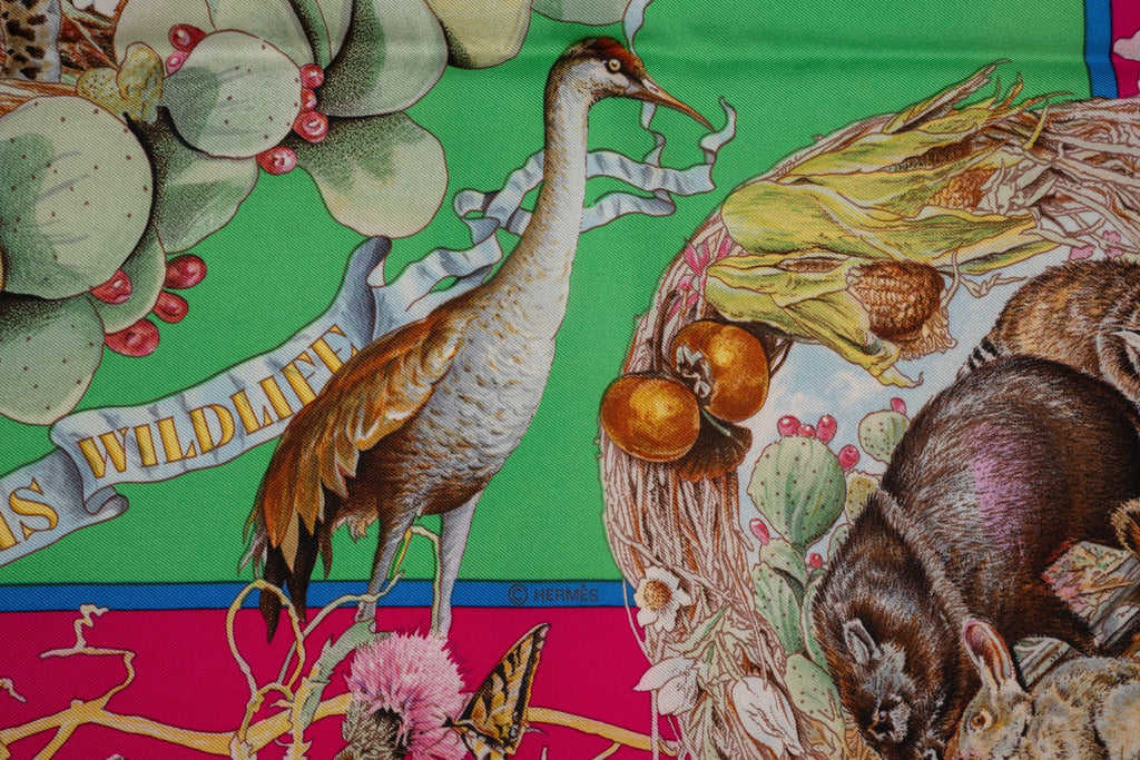Hermès "Faune et Flore du Texas" Scarf