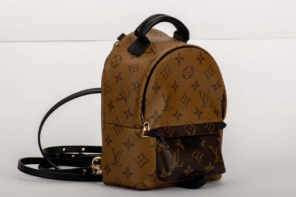 Louis Vuitton Palm Springs Mini Backpack