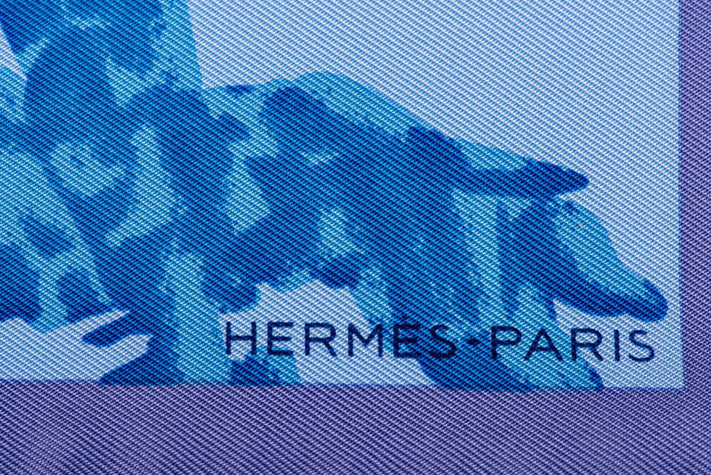 Hermes Blue Tiger Cubs Silk Gavroche