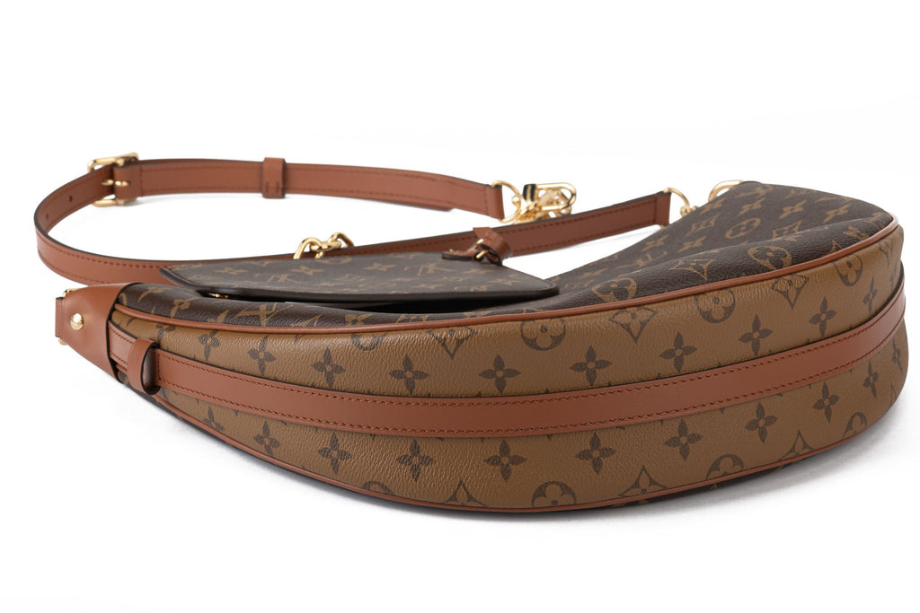 Vuitton BNIB 2 Tone Monogram Hobo Bag