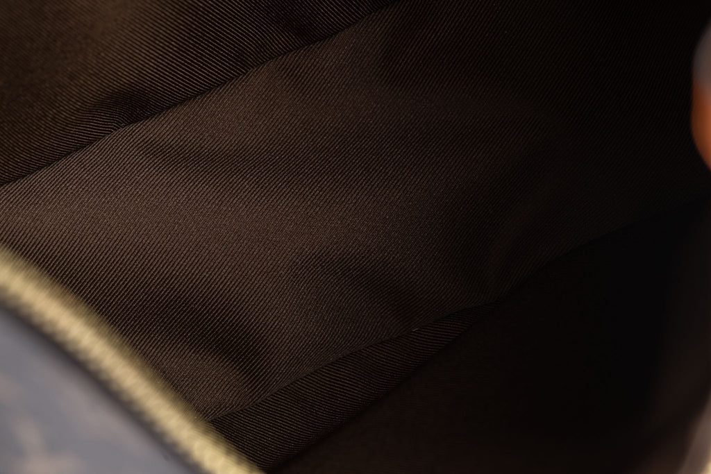 Vuitton BNIB 2 Tone Monogram Hobo Bag