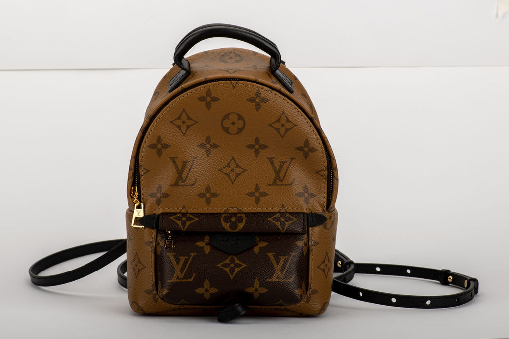 Louis Vuitton Palm Springs Mini Backpack