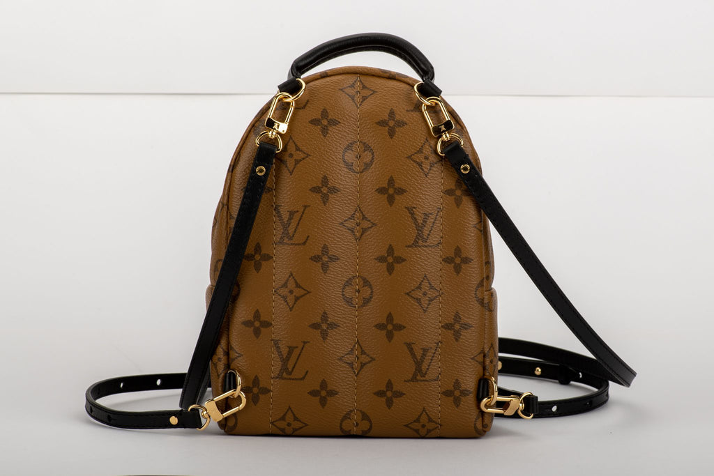 Louis Vuitton Palm Springs Mini Backpack