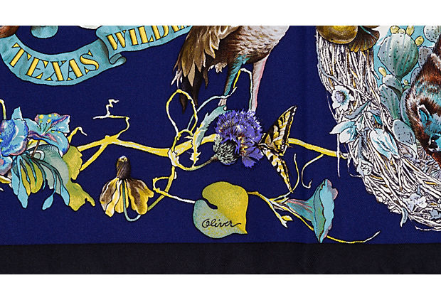 Hermès Faune et Flore Du Texas Blu Scarf