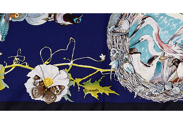 Hermès Faune et Flore Du Texas Blu Scarf